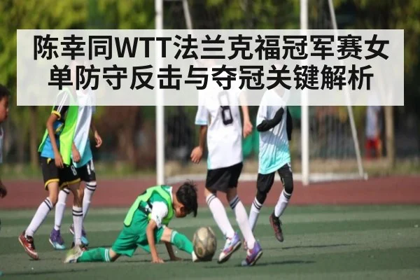 陈幸同WTT法兰克福冠军赛女单防守反击与夺冠关键解析 - NG28